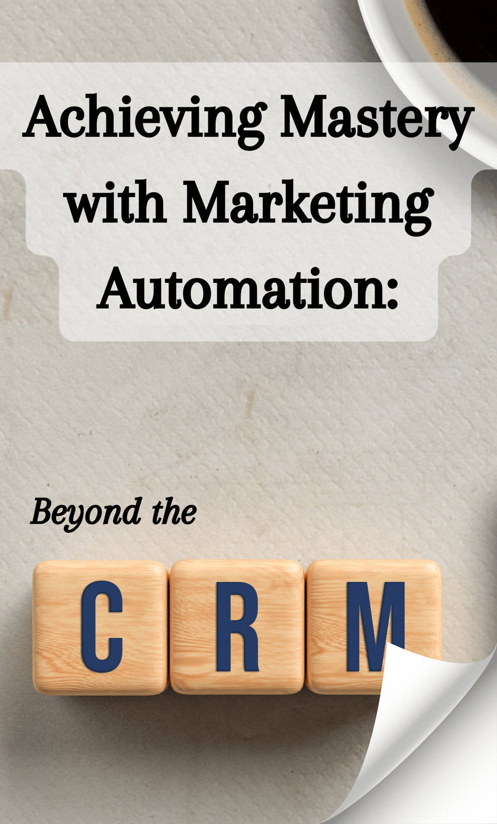 Beyond the CRM ebook cover-condensed-LP 